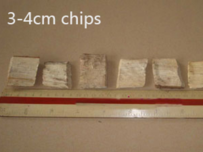 3-4cm chip