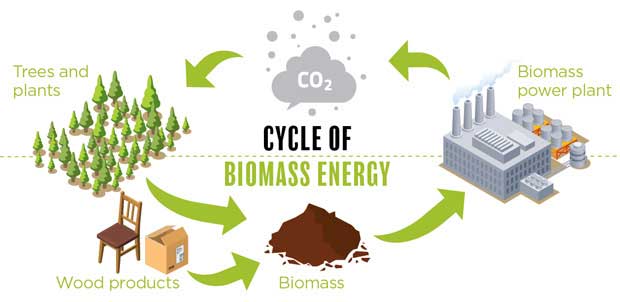 biomass to energy