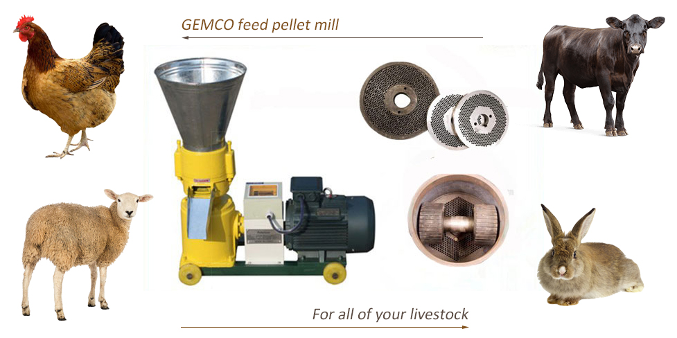 feed pellet mill