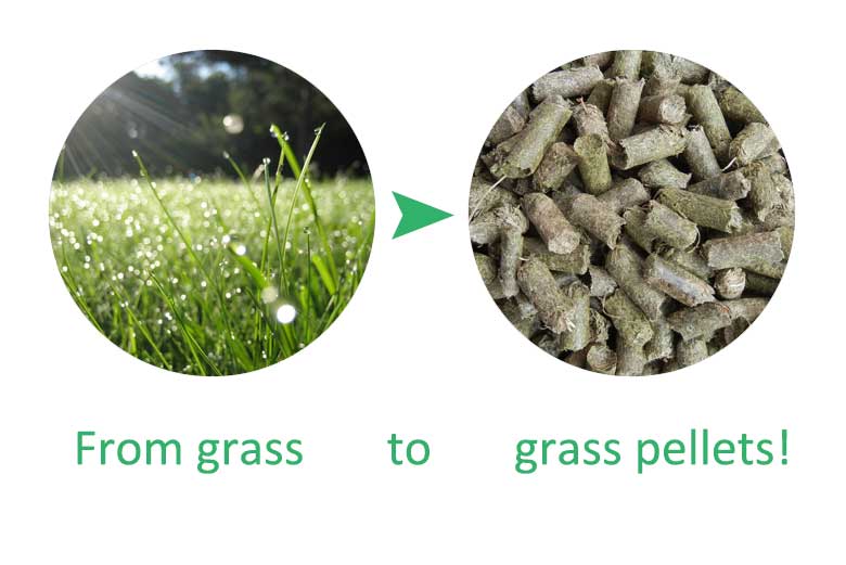 how to make grass pellets