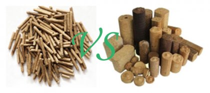 Biomass Fuel, Pellets Or Briquettes