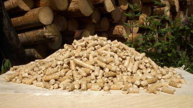 wood and wood pellets